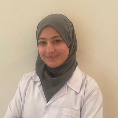 Alaa choura