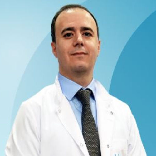 GOKHAN ERTAS