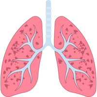 General Physician