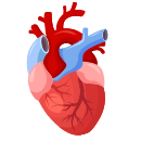 Cardiologist